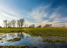 Division de terrain Division de terrain