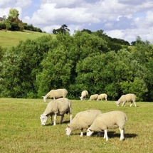 Terrain privé clos