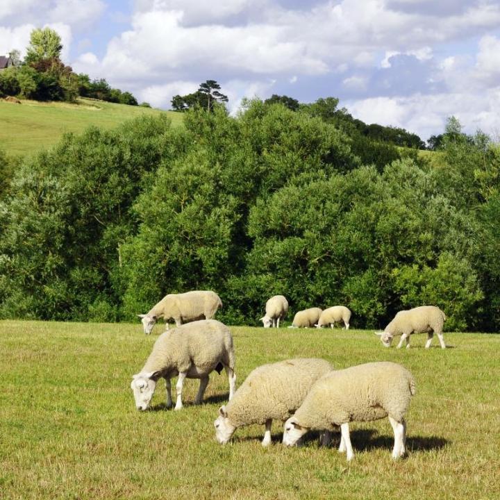 Terrain privé clos