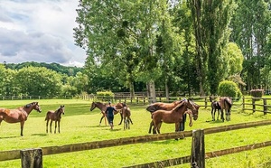 Maison et exploitation agricole
